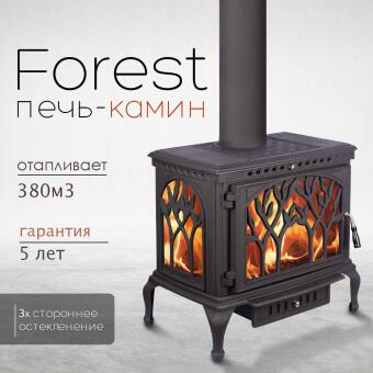 Чугунная печь Forest  в Благовещенске